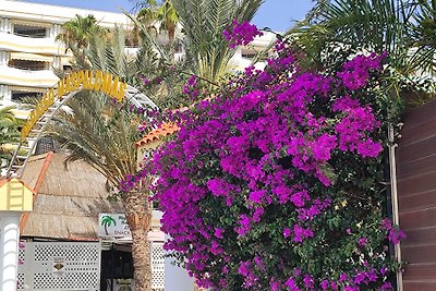 Paraiso Maspalomas