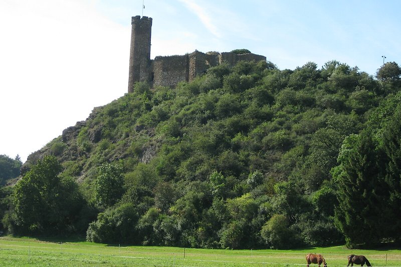 Die impossante Burg Ardeck, wo alle zwei Jahr Ende August und September unsere Burgfestspiele stattfinden.