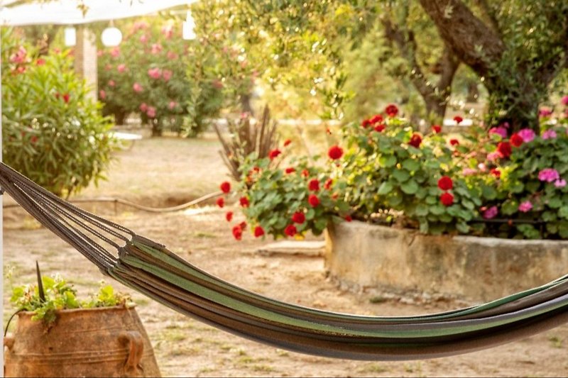 A hammock on each terrace