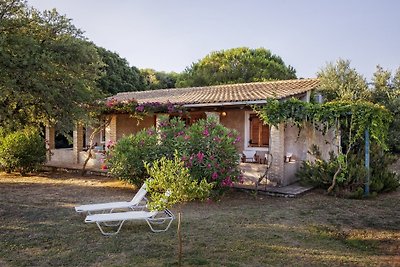 Daphnes villa no.10  in Zakynthos