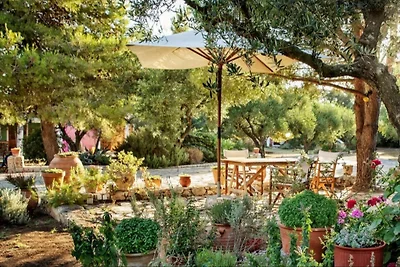 Daphnes cottage