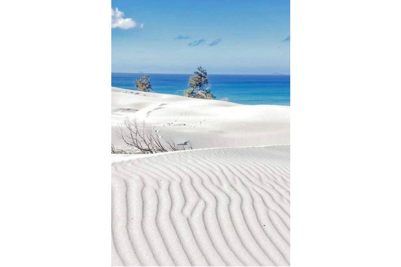 Una spiaggia incontaminata con dune di sabbia e un mare cristallino. Rilassati e goditi il sole e il mare.