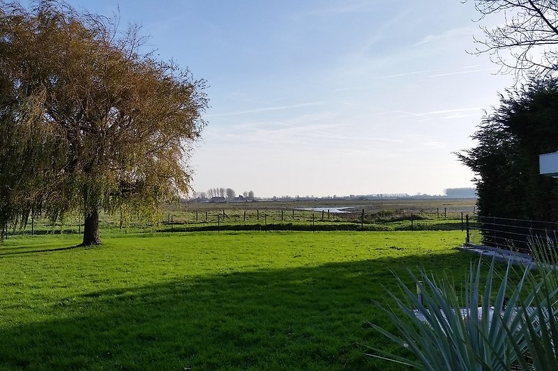 Polder and sea view