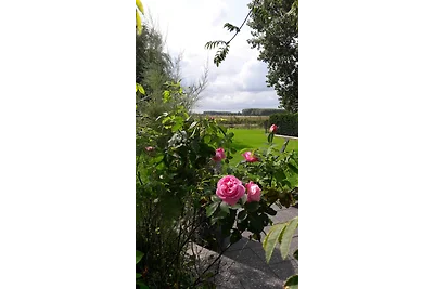 Ferienhaus Polderblick am See