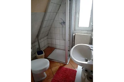 Rügensonne 53