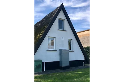 Rügensonne 53