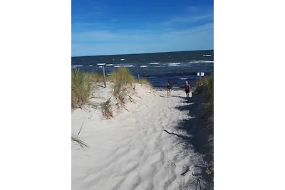 Rügensonne 53
