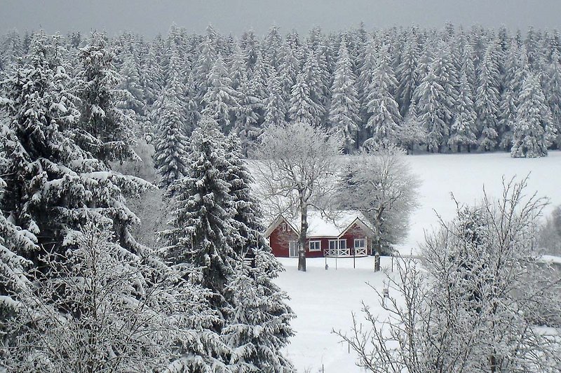 Gemütliches Holzhaus in winterlicher Berglandschaft.