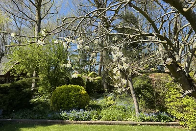 Ferienhaus mit umzäuntem Garten