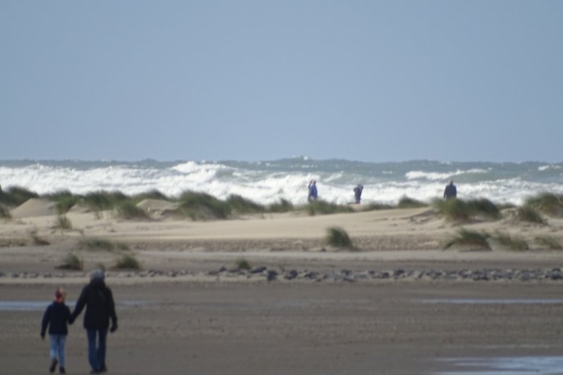 Texel ideaal voor het maken van een lange strandwandeling.
