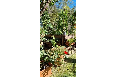 Ferienwohnung La Fonte "SANTO"