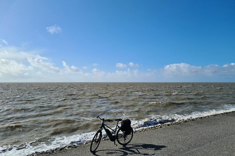 Fahrradfahren direkt an der Nordsee