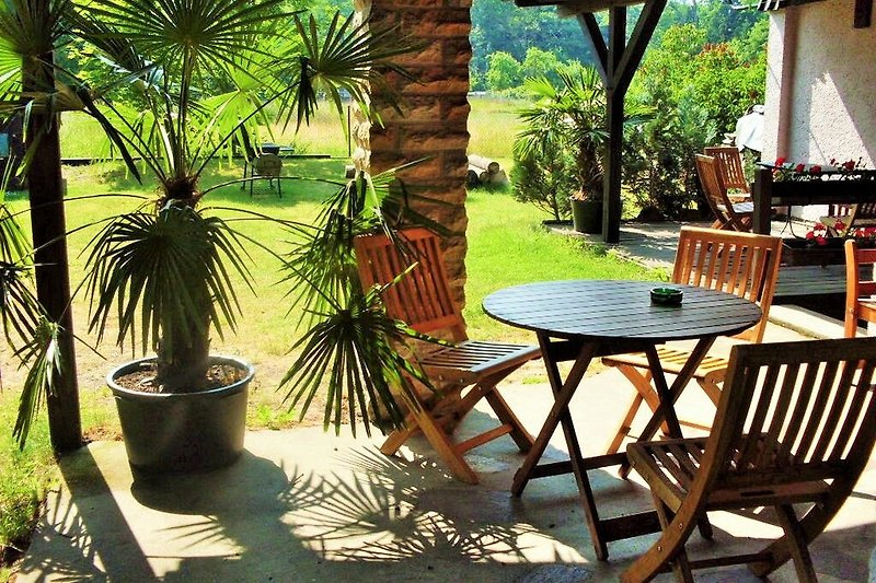 Schöner Garten mit Pflanzen, Tisch und Stühlen.