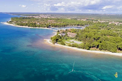 Modern Three Bedroom Apartment - Flowers B