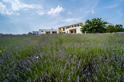 Spiral Garden, Lavender Fields, Pool - Arkaim