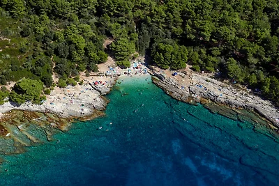 Villa Frida - Apartment Olive mit Terasse