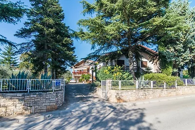 Apartment Pineta in Strandnähe