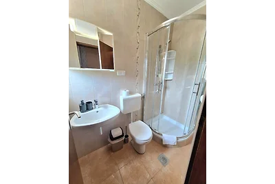 Apartment Nikolina 4 mit Meerblick