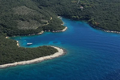 Apartment Nikolina 6 with Sea View