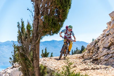 Apartment Nikolina 4 mit Meerblick