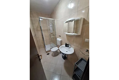 Apartment Nikolina 3 mit Meerblick