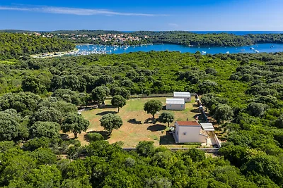 Naturoase - Mobilheim Sara