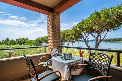Apartments Oliveto mit Meerblick - Lavanda