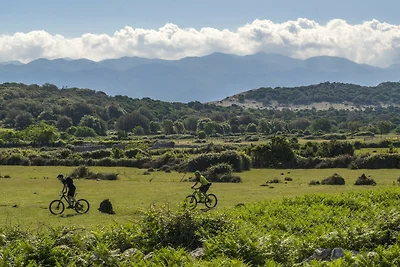 Apartment Nikolina 4 mit Meerblick