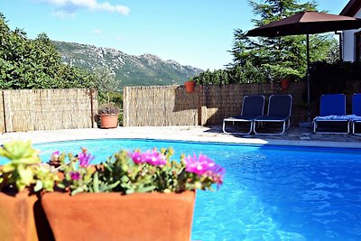 Apartment Ulika - Privater Pool, Bergblick