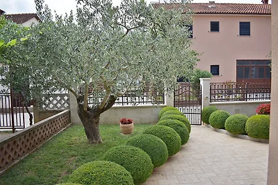 Apartment Tina mit Terrasse und schönem...
