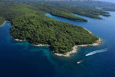 Apartment Nikolina 2 mit Meerblick