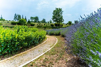 Spiral Garden, Lavender Fields, Pool - Arkaim