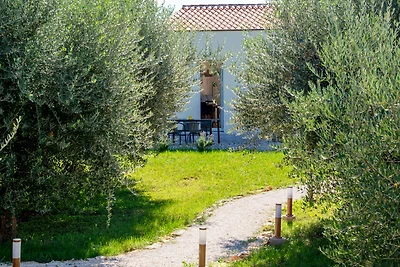 Poolhaus Renata Medulin (2+2)