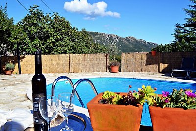 Apartment Ulika - Privater Pool, Bergblick