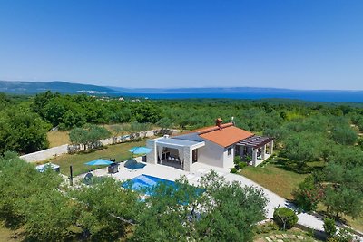 Villa Silentio with Jacuzzi and Pool (4+2)