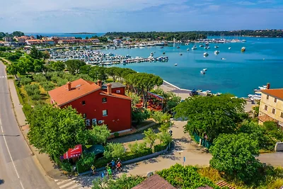 Apartments Oliveto mit Meerblick - Sole