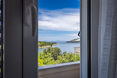 Apartment Nikolina 3 mit Meerblick