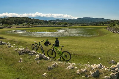 Apartment Nikolina 4 mit Meerblick