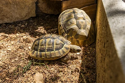 City Center Amphitheater Studio A