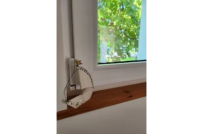 Hus up Poel lüttjet