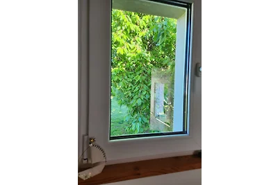 Hus up Poel lüttjet