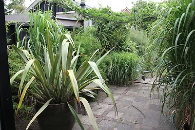 Botanico