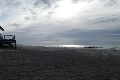 Strandslag nr 224