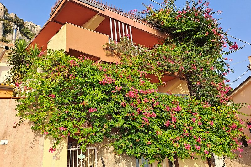 Affascinante casa con fiori colorati e una vista mozzafiato.