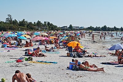 Doppelt CHALET direkt am Strand