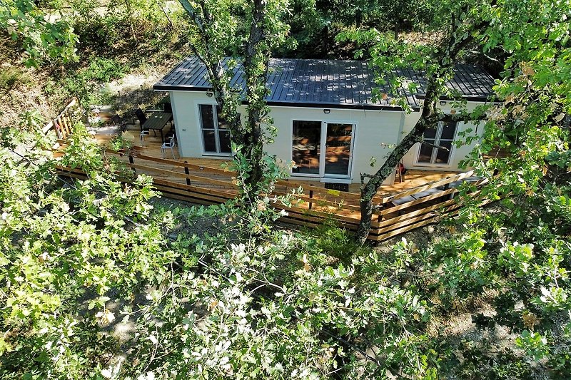 Holzhütte im Wald mit üppigem Grün und Garten.