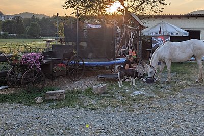 Urlaub mit Hund/Pferd Hellwiges Hof