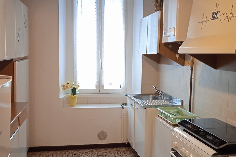 Küche mit Induktionsplatte / Holzschränken,   und Fenster.