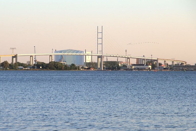 Die Rügenbrücke vom Strand Altefähr aus gesehen