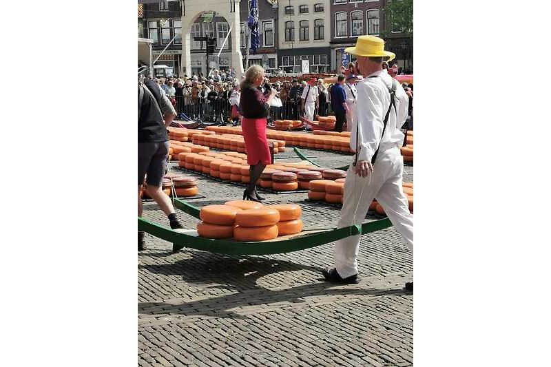Käsemarkt in Alkmaar ist ein Besuch wert